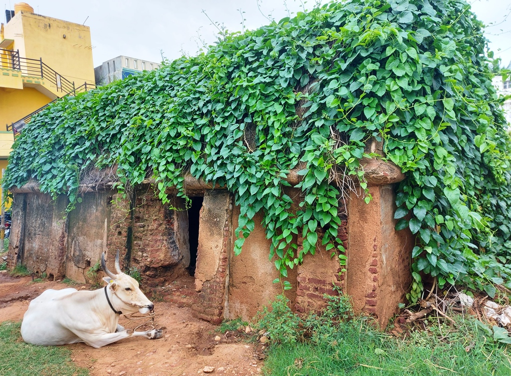 ಕೆ.ಆರ್.ಎಸ್ ಮುಖ್ಯ ರಸ್ತೆಯಲ್ಲಿರುವ ಮದ್ದಿನ ಮನೆಯ ದುಃಸ್ಥಿತಿ
