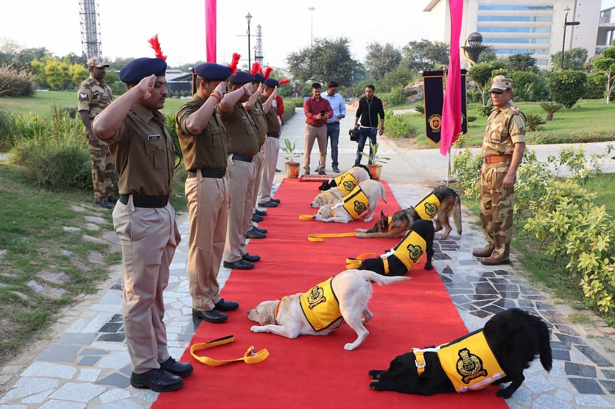 ಸೇನಾ ಪಡೆಗಳಲ್ಲಿ ಕುದುರೆ, ನಾಯಿಗಳು ಸೇರಿ 12,600 ಪ್ರಾಣಿಗಳಿವೆ: ಕೇಂದ್ರ ಸರ್ಕಾರ