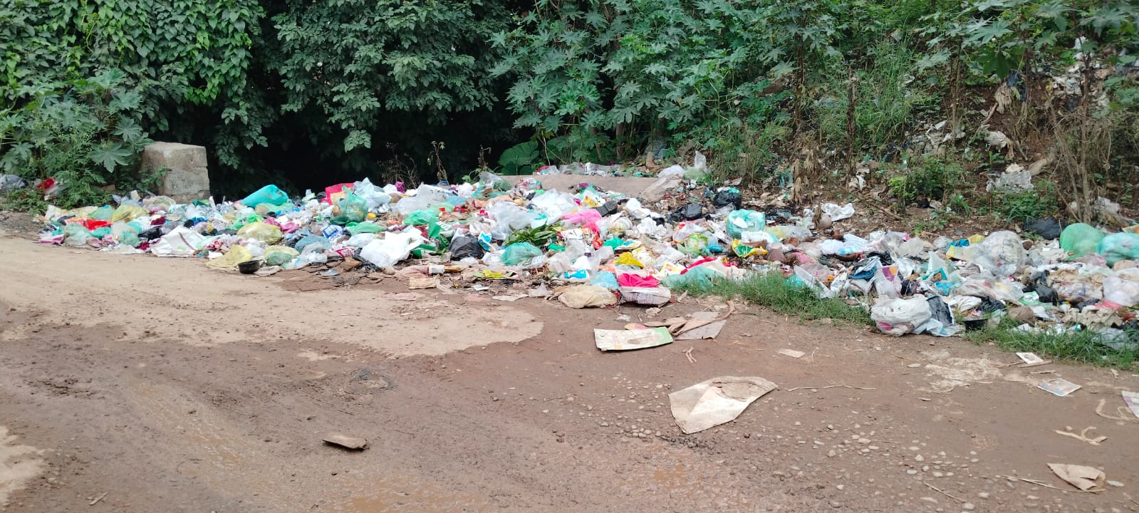 ಹೊಸಕೋಟೆಯ 23 ವಾರ್ಡ್ ಬಳಿ ಕಸ ಸುರಿದಿರುವುದು