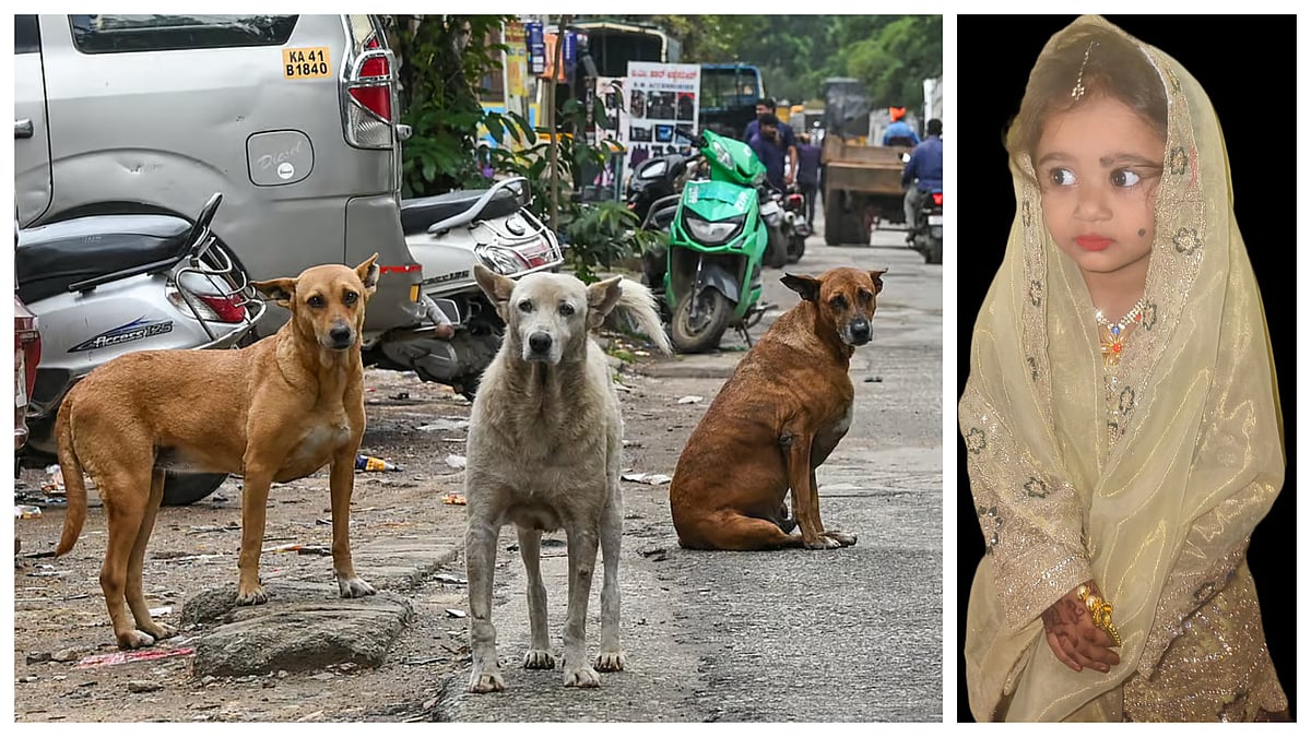 ನಾಯಿ ದಾಳಿಯಿಂದ ರೇಬಿಸ್: ನಾಲ್ಕು ತಿಂಗಳಿಂದ‌ ಆಸ್ಪತ್ರೆಯಲ್ಲಿದ್ದ ಬಾಲಕಿ ಸಾವು