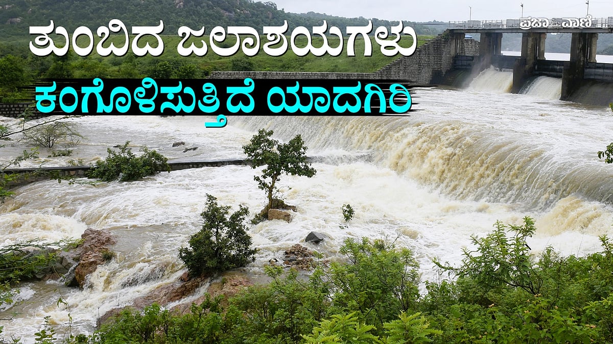 Video | ಸತತ ಮಳೆ: ತುಂಬಿದ ಜಲಾಶಯಗಳು– ಹಸಿರ ಸಿರಿಯಿಂದ ಕಂಗೊಳಿಸುತ್ತಿದೆ ಯಾದಗಿರಿ