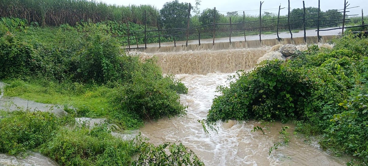 ಹಳಿಯಾಳ | ಕೆರೆ ಉಳಿಸಿ, ಮೀನು ರಕ್ಷಿಸಿದ ತೇಗನಳ್ಳಿ ಗ್ರಾಮಸ್ಥರು