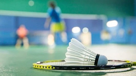 ಬ್ಯಾಡ್ಮಿಂಟನ್‌ ಶಟಲ್‌ಗೆ ಪುಕ್ಕಗಳ ಕೊರತೆ: ಚೀನಾದಲ್ಲಿ ಹಂದಿ ಮಾಂಸ ಬಳಕೆಯೇ ಕಾರಣ