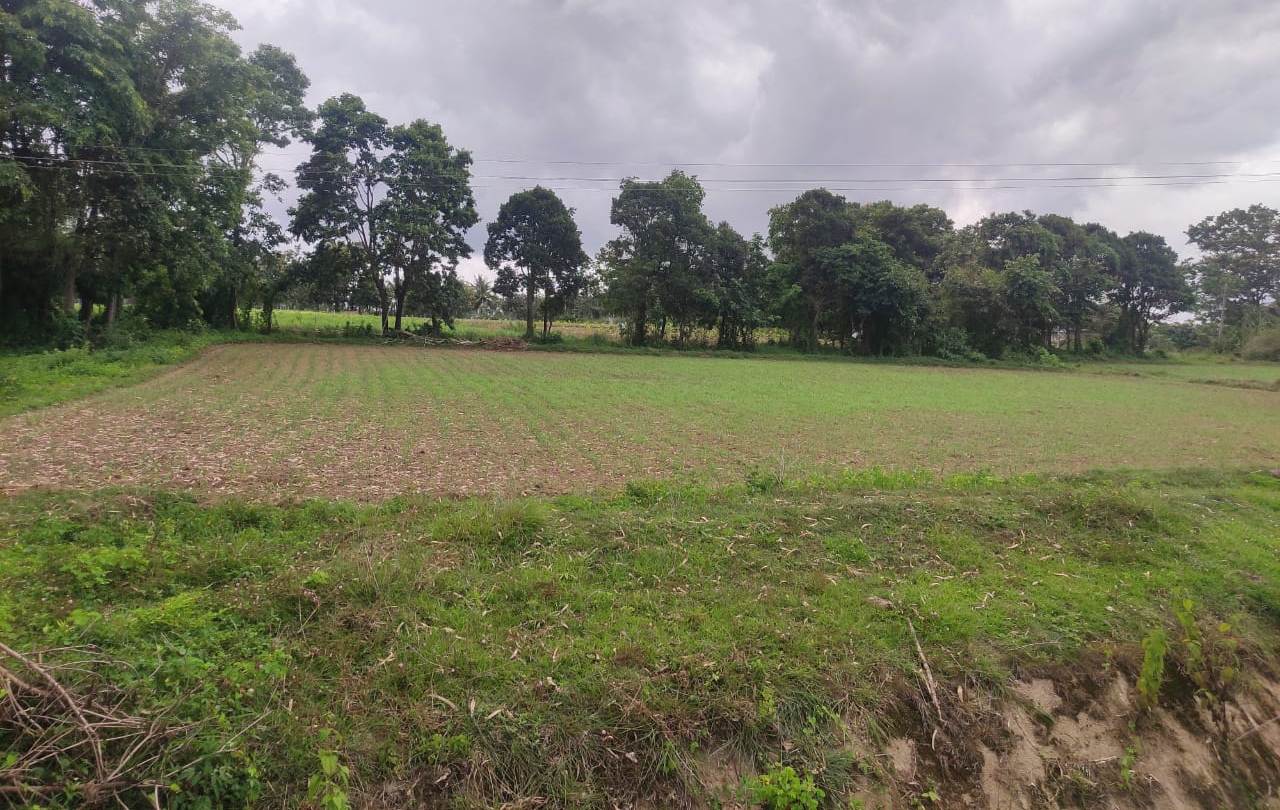 ಆಲೂರು ಕಸಬಾ ಮಣಿಪುರ ಗ್ರಾಮದಲ್ಲಿ ಮುಳುಗಡೆ ವಾರಸುದಾರರೊಬ್ಬರ ಜಮೀನು ಆಟಕ್ಕುಂಟು ಲೆಕ್ಕಕ್ಕಿಲ್ಲ ಎನ್ನುವಂತಾಗಿದೆ.