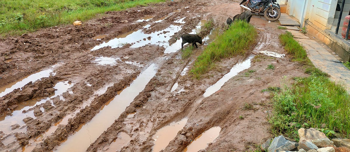 ಹಾನಗಲ್: ಮೂಲ ಸೌಲಭ್ಯಗಳಿಂದ ವಂಚಿತ ಜನವಸತಿ ಪ್ರದೇಶ