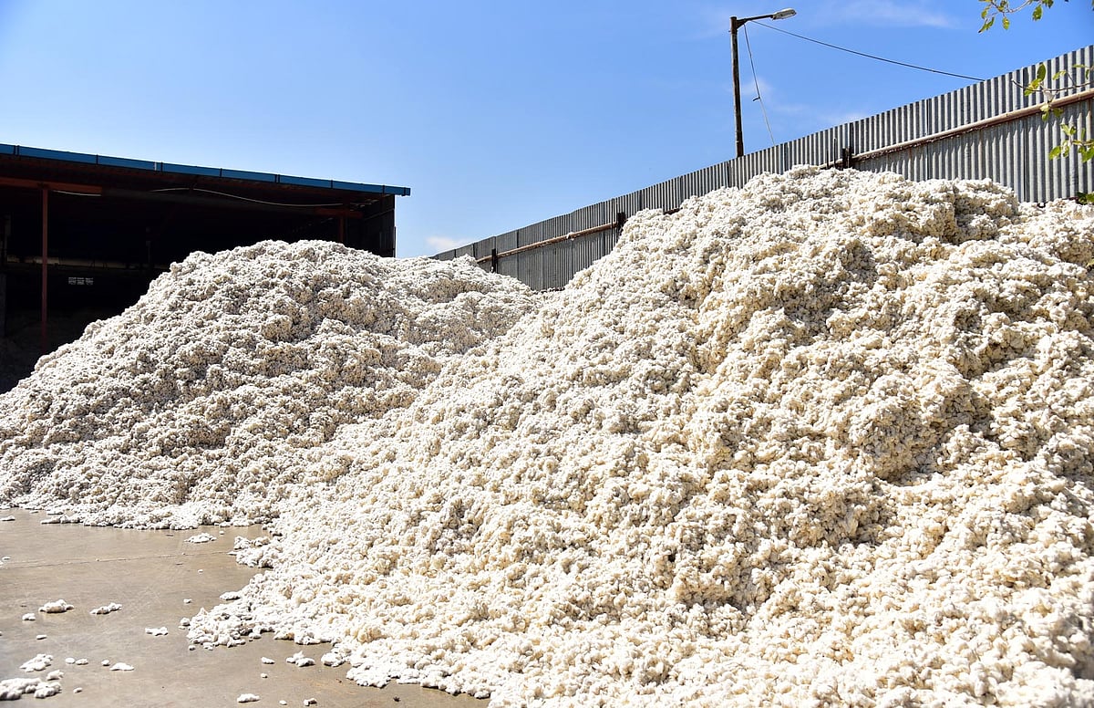 ಹತ್ತಿಗೆ ಆಮದು ಸುಂಕ ವಿನಾಯಿತಿ ಘೋಷಿಸಿದ ಕೇಂದ್ರ ಸರ್ಕಾರ