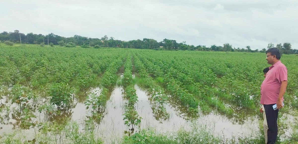 ಶಹಾಪುರ: ಕೃಷ್ಣಾ ನದಿ ಪಾತ್ರದಲ್ಲಿ ಮತ್ತೆ ಪ್ರವಾಹದ ಆತಂಕ