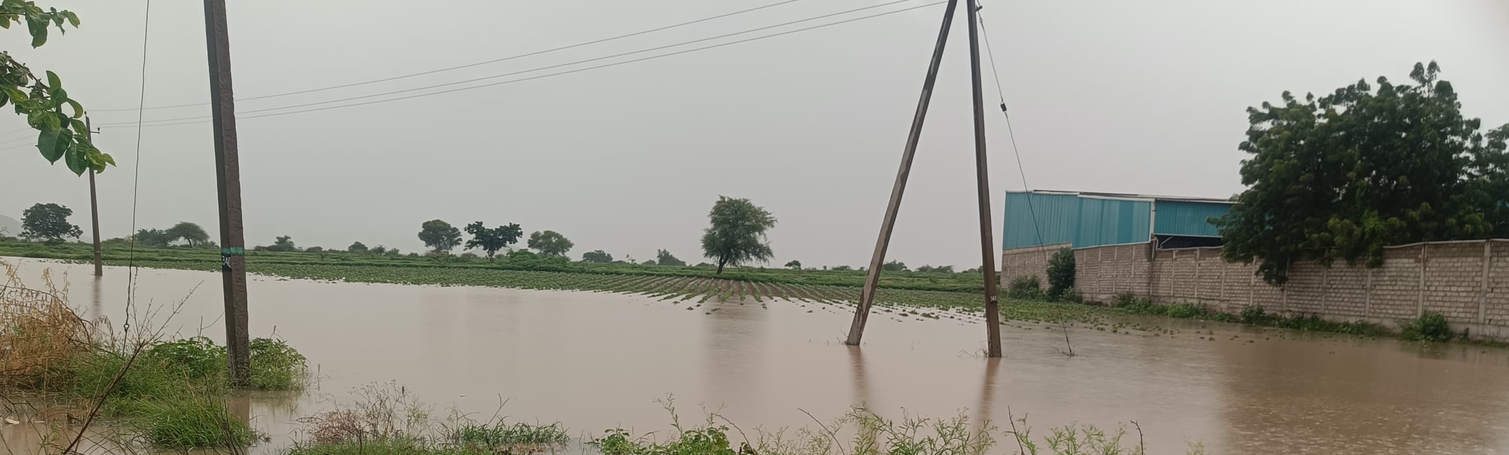 ದೇವದುರ್ಗ ತಾಲ್ಲೂಕಿನಾದ್ಯಂತ ಕಳೆದ ಮೂರು ದಿನಗಳಿಂದ ಸುರಿಯುತ್ತಿರುವ ಮಳೆಗೆ ಚಿಕ್ಕಹೊನ್ನಕುಣಿ ರೈತ ರಮೇಶ ಹೊಲದಲ್ಲಿ ನೀರು ನಿಂತಿರುವುದು.
