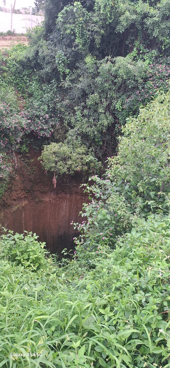 ಹಳೆ ಬಾವಿಗೆ ಬಿದ್ದಿದ್ದ ನಾಯಿ