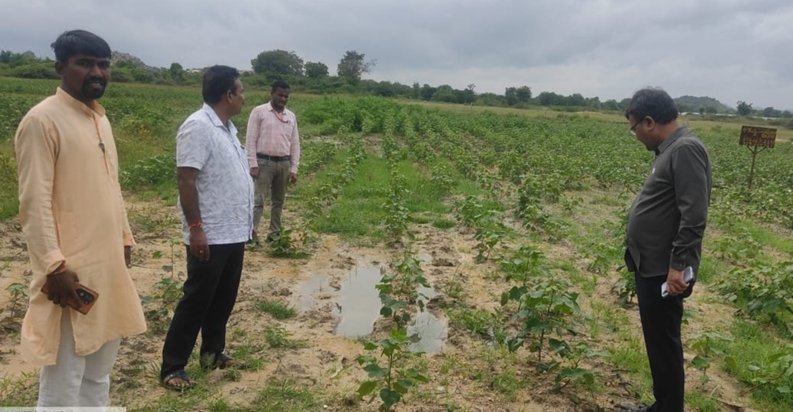 ಯಾದಗಿರಿ ತಾಲ್ಲೂಕಿನ ಗ್ರಾಮವೊಂದರ ಜಮೀನಿಗೆ ಜಂಟಿ ಕೃಷಿ ನಿರ್ದೇಶಕ ರತೇಂದ್ರನಾಥ ಸೂಗುರ ಭೇಟಿ ನೀಡಿದರು     