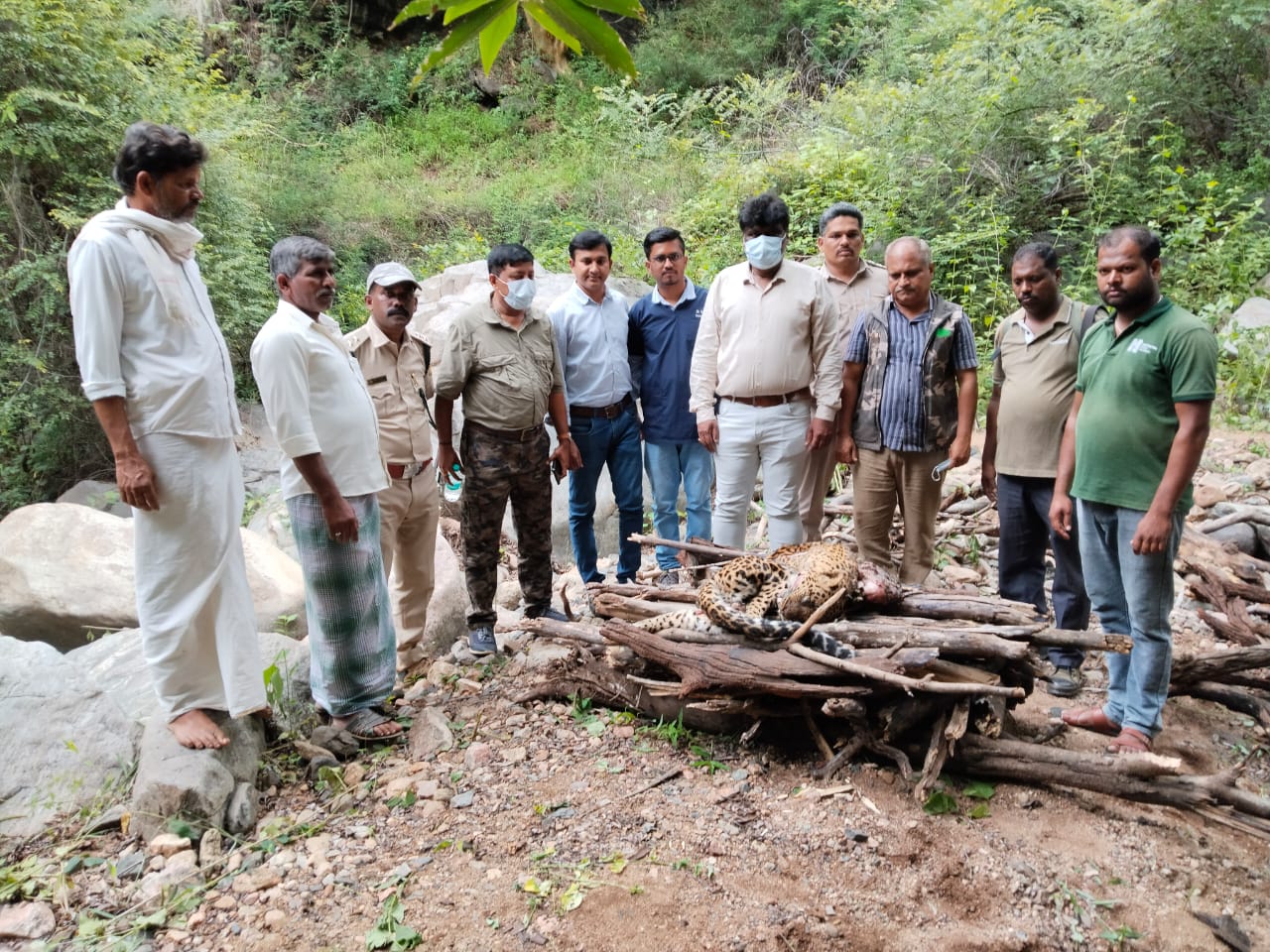 ಹಲಗೂರು ಸಮೀಪದ ಮುತ್ತತ್ತಿ ಅರಣ್ಯ ಪ್ರದೇಶದಲ್ಲಿ ಅರಣ್ಯ ಇಲಾಖೆ ಅಧಿಕಾರಿಗಳು ಮತ್ತು ಸ್ಥಳೀಯರ ಸಮ್ಮುಖದಲ್ಲಿ ಚಿರತೆಯ ಅಂತ್ಯಕ್ರಿಯೆ ನಡೆಸಲಾಯಿತು.