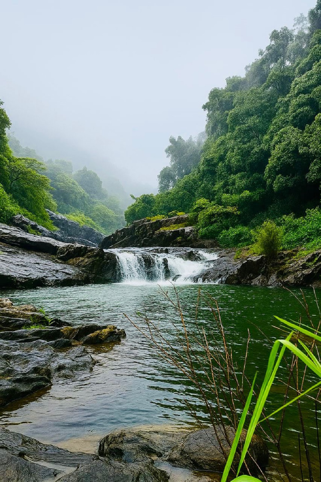 ಕುಂಚಿಕಲ್‌ ಜಲಪಾತ
