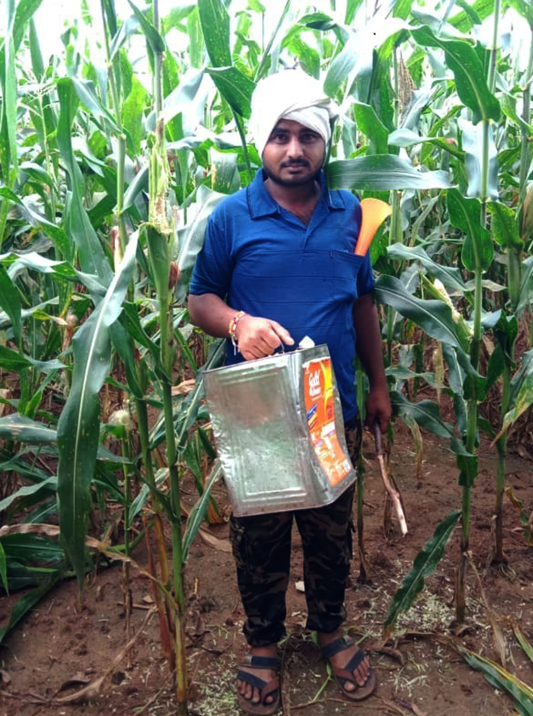 ಗಿಳಿ ಓಡಿಸಲು ಡಬ್ಬ ಬಡಿಯುತ್ತಿರುವ ರೈತ