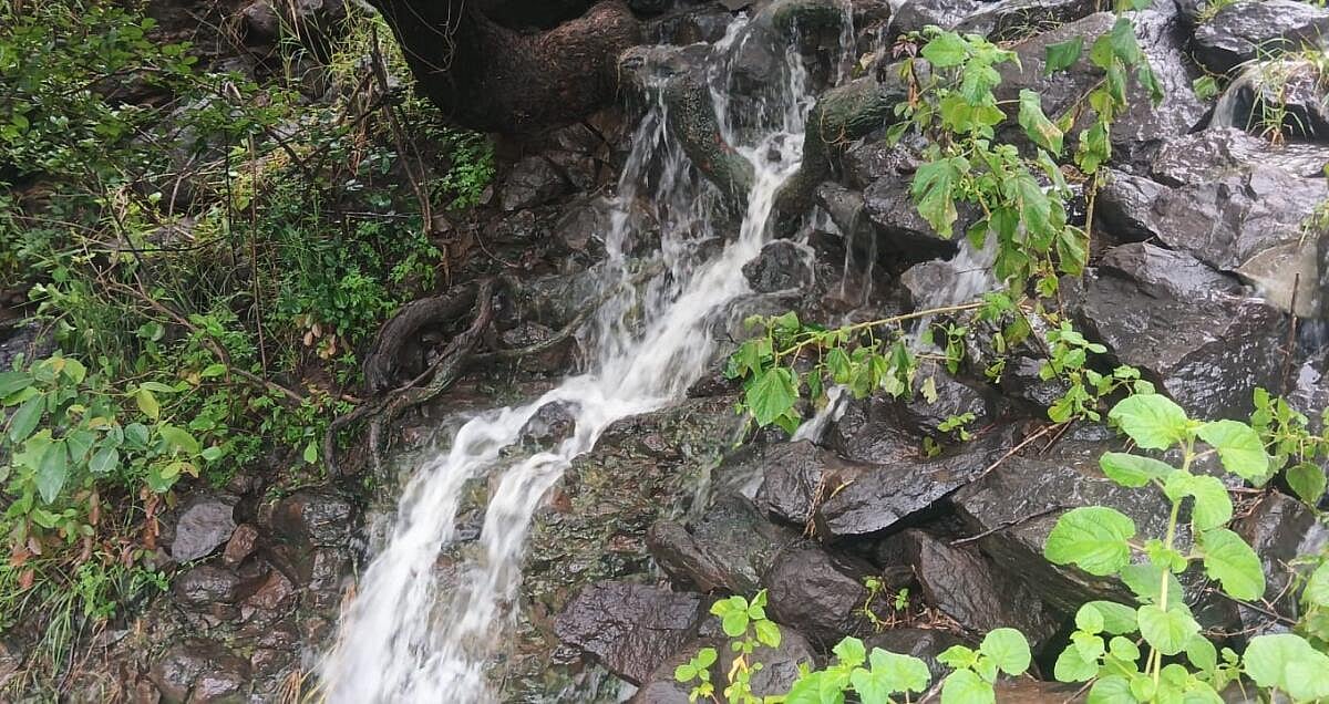 ಕಾಳಗಿ | ಕೋಡ್ಲಿ ಹೊರವಲಯ: ಜಲಪಾತದ ಅನುಭವ