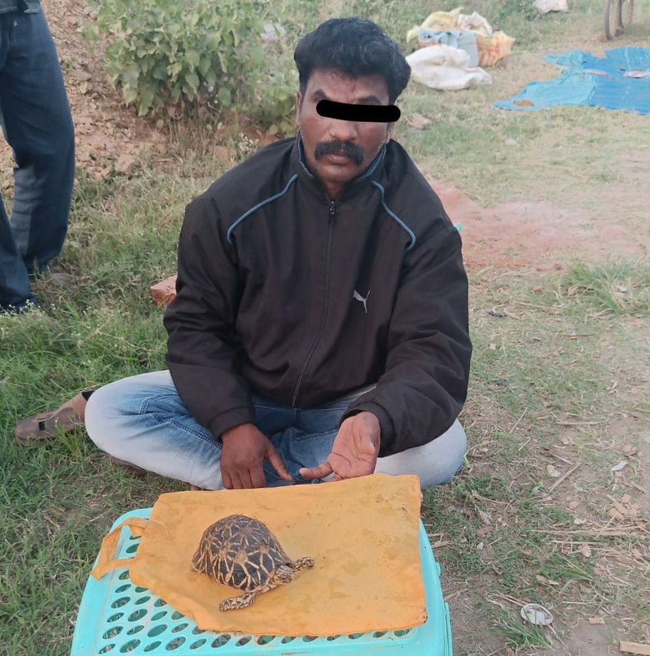 ವಶಪಡಿಸಿಕೊಂಡ ನಕ್ಷತ್ರ ಆಮೆ