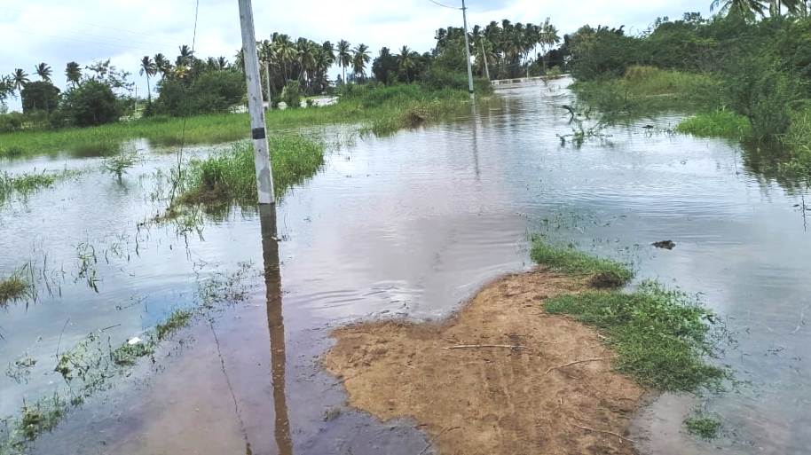 ಜಮಖಂಡಿ: ತಾಲ್ಲೂಕಿನ ಆಲಗೂರ ಶಿಂಧೆ ತೋಟಕ್ಕೆ ಹೋಗುವ ರಸ್ತೆ ಜಲಾವೃತವಾಗಿರುವದು