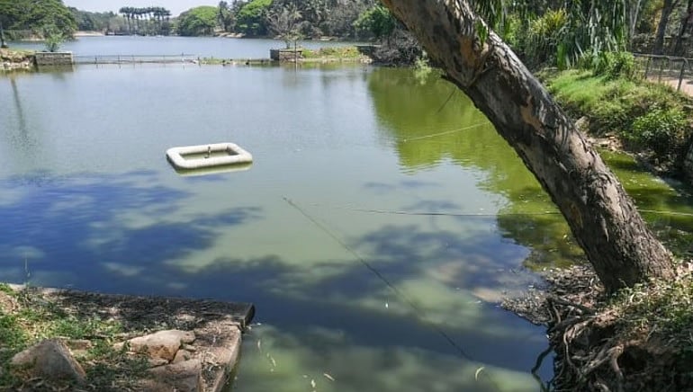 ಬೆಂಗಳೂರು | ಲಾಲ್‌ಬಾಗ್‌ ಕೆರೆಯಲ್ಲಿ ಮಹಿಳೆಯ ಮೃತದೇಹ ಪತ್ತೆ: ಆತ್ಮಹತ್ಯೆ ಶಂಕೆ