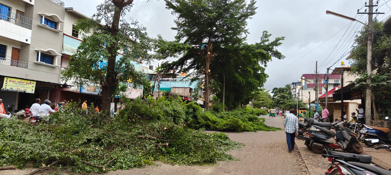 ಬೆಳಗಾವಿಯ ನೆಹರೂ ನಗರದಿಂದ ಶಾಹೂ ನಗರ ಮಾರ್ಗದಲ್ಲಿನ ಅಪಾಯಕಾರಿಯಾದ ಮರಗಳ ಟೊಂಗೆ ಕತ್ತರಿಸುತ್ತಿರುವುದು  ಪ್ರಜಾವಾಣಿ ಚಿತ್ರ