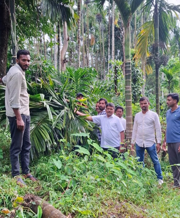 ಕಾಡಾನೆಗಳ ದಾಳಿಯಿಂದ ಹಾನಿಗೊಳಗಾದ ತೋಟಗಳಿಗೆ ಮುಖಂಡ ದೀಪಕ್ ದೊಡ್ಡಯ್ಯ ಭೇಟಿ ನೀಡಿ ಪರಿಶೀಲನೆ ನಡೆಸಿದರು