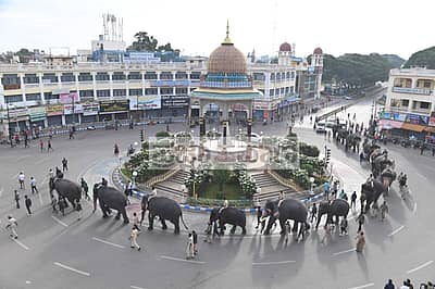 ಮೈಸೂರಿನ ಕೆ.ಆರ್. ವೃತ್ತದಲ್ಲಿ ಗಜಪಡೆ