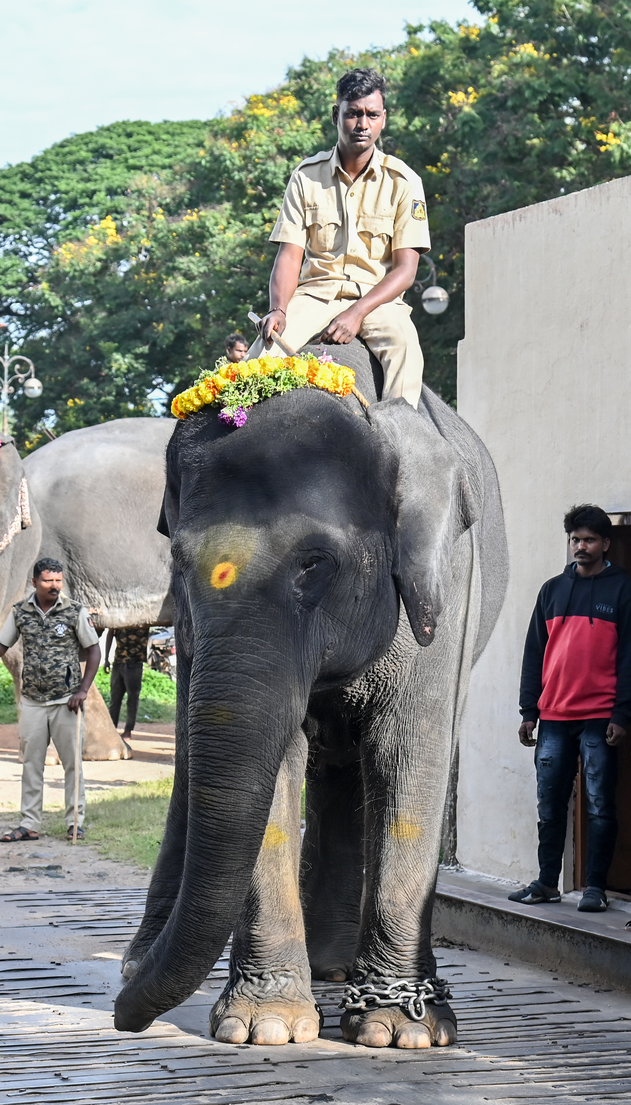 ಹೇಮಾವತಿ 