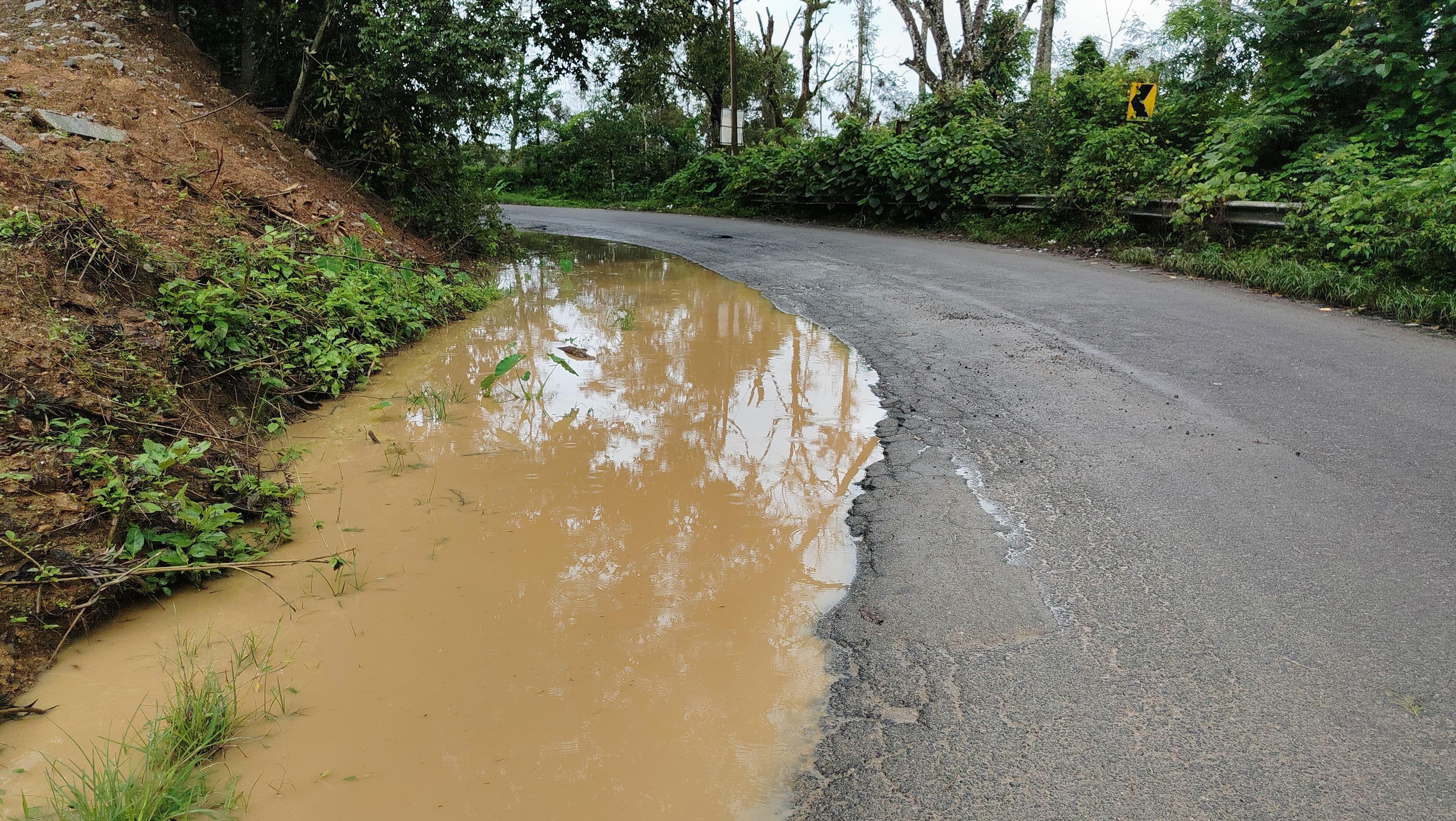 ಆಲ್ದೂರು ಸಮೀಪದ ಮೇಲ್ ಬನ್ನೂರು ಗ್ರಾಮದ ಬಳಿ ರಾಜ್ಯ ಹೆದ್ದಾರಿಯಲ್ಲಿ ನೀರು ಹರಿಯುತ್ತಿರುವುದು