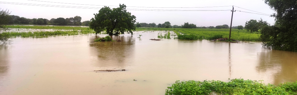 ಕಮಲನಗರ ಪಟ್ಟಣದ ಸೋನಾಳ ರಸ್ತೆಯಲ್ಲಿರುವ ಹೊಲವೊಂದರಲ್ಲಿ ನೀರು ನುಗ್ಗಿ ಬೆಳೆ ಹಾನಿಯಾಗಿರುವುದು