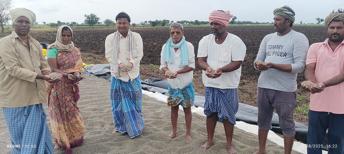 ಲಕ್ಷ್ಮೇಶ್ವರ: ಹೆಸರು ಬೆಳೆ ಬೆಲೆ ಕುಸಿತ ಕಂಗಾಲಾದ ಅನ್ನದಾತ