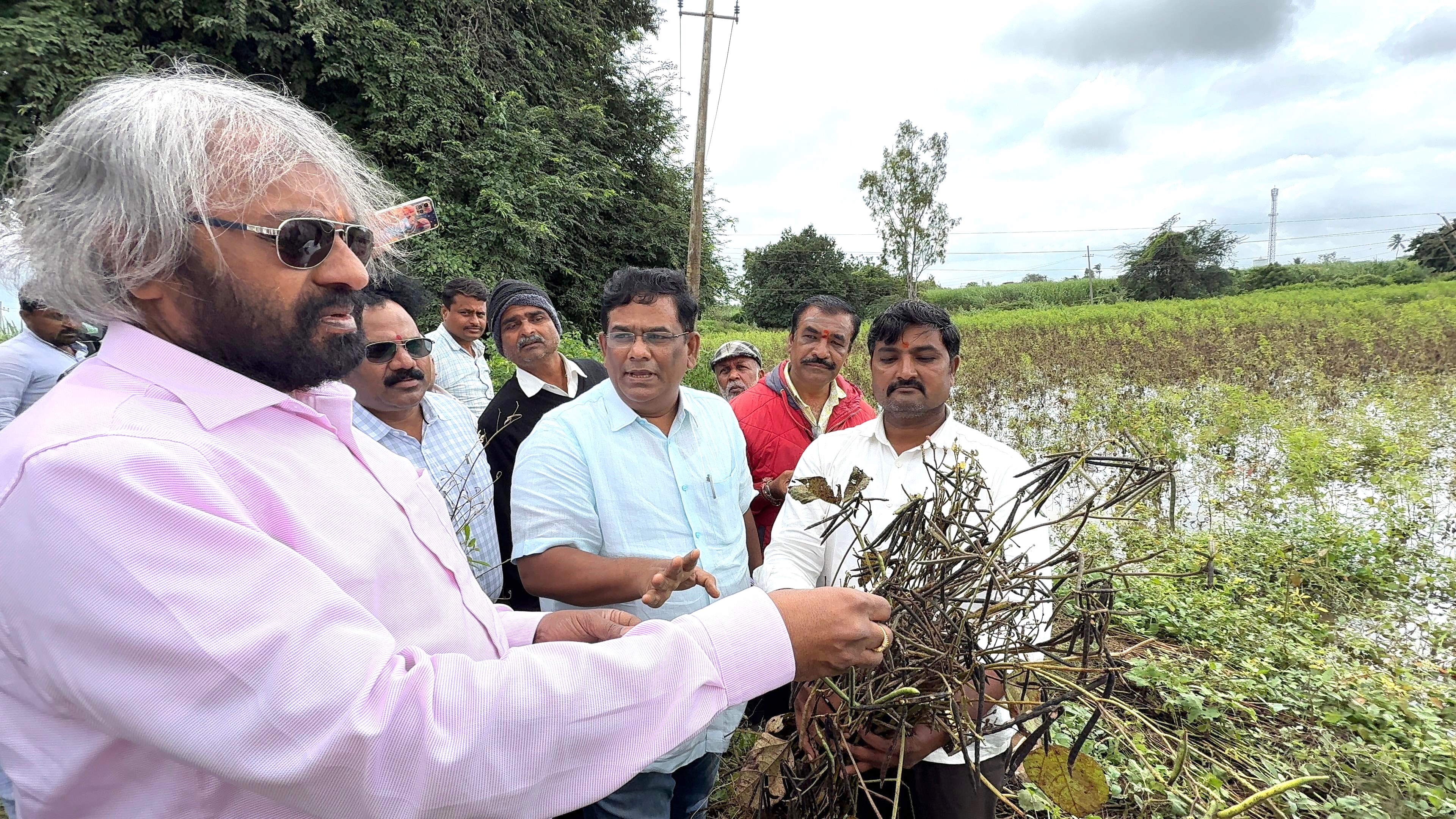 ಮಳೆಗೆ ಹಾಳಾದ ರೈತರ ಬೆಳೆ ಪರಿಶೀಲಿಸಿದ ಜಿಲ್ಲಾ ಉಸ್ತುವಾರಿ ಸಚಿವ ಈಶ್ವರ ಬಿ. ಖಂಡ್ರೆ
