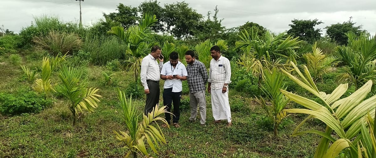 ಹೊನ್ನಾಳಿ | ಬೆಳೆ ಸಮೀಕ್ಷೆ: ರೈತರಿಗೆ ಸೂಚನೆ