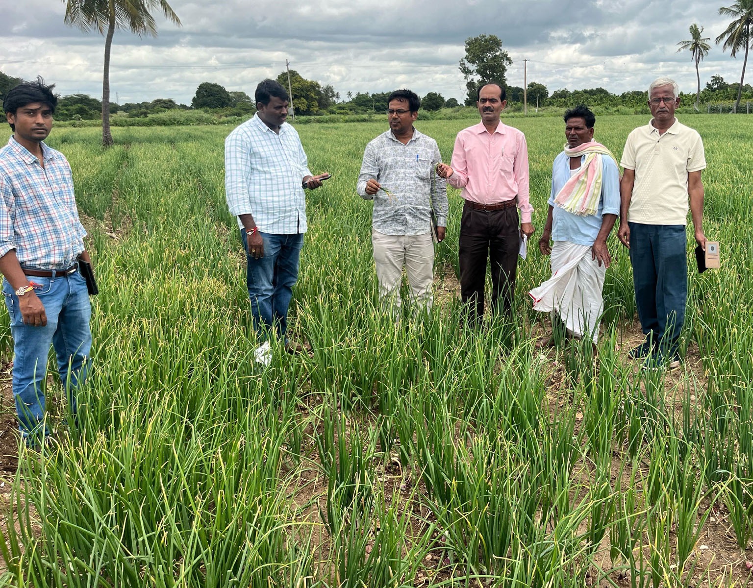 ಹೂವಿನಹಡಗಲಿ ತಾಲ್ಲೂಕು ಇಟ್ಟಿಗಿಯಲ್ಲಿ ಕೊಳೆರೋಗ ಕಾಣಿಸಿಕೊಂಡಿರುವ ಈರುಳ್ಳಿ ಬೆಳೆಯನ್ನು ಕೃಷಿ ವಿಜ್ಞಾನಿಗಳು ಪರಿಶೀಲಿಸಿದರು
