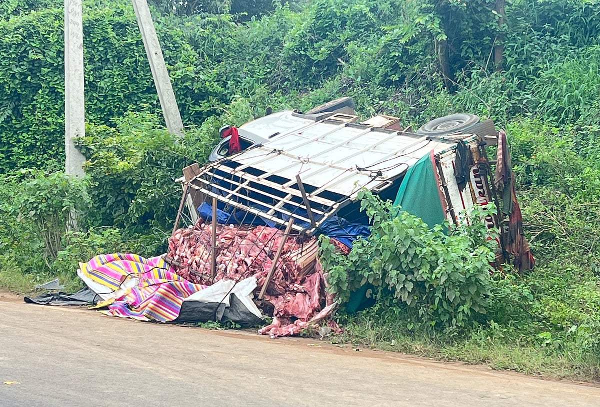 ಮಮದಾಪುರ | ಗೋಮಾಂಸ ಸಾಗಿಸುತ್ತಿದ್ದ ವಾಹನ ಪಲ್ಟಿ: ಚಾಲಕ ಪರಾರಿ