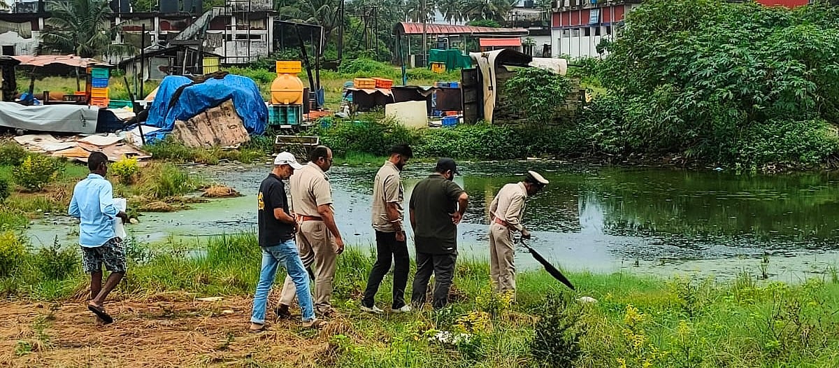 ಉಡುಪಿ | ಮಲ್ಪೆ ಫಿಶ್‌ಮಿಲ್ ಬಳಿ ಲೆಸ್ಸರ್ ಪ್ಲೆಮಿಂಗೊ ಕಳೇಬರ ಪತ್ತೆ