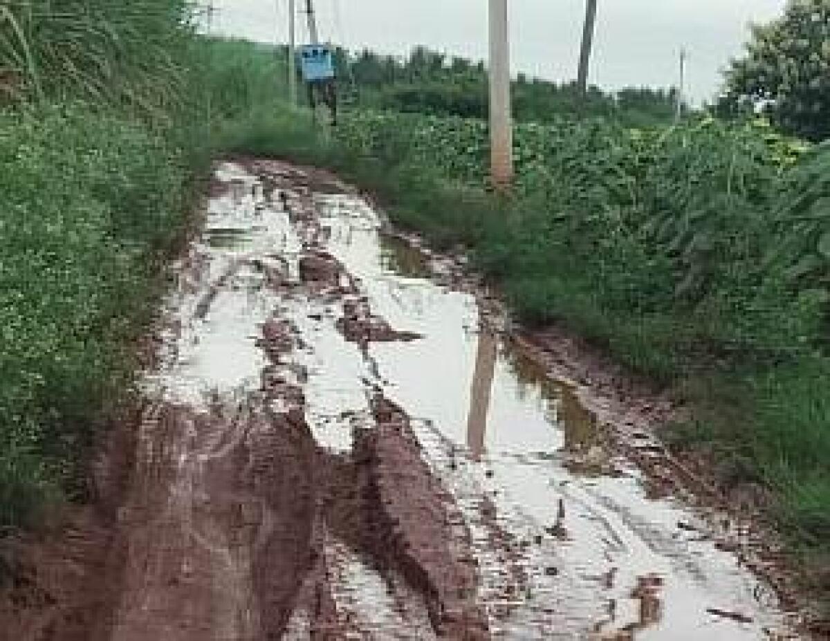 ಗುಳೇದಗುಡ್ಡ ತಾಲ್ಲೂಕಿನ ಆಸಂಗಿ-ನಿಂಬಲಗುಂದಿ ಮಾರ್ಗದ ರಸ್ತೆ ಸಂಪೂರ್ಣ ಹಾಳಾಗಿದೆ 