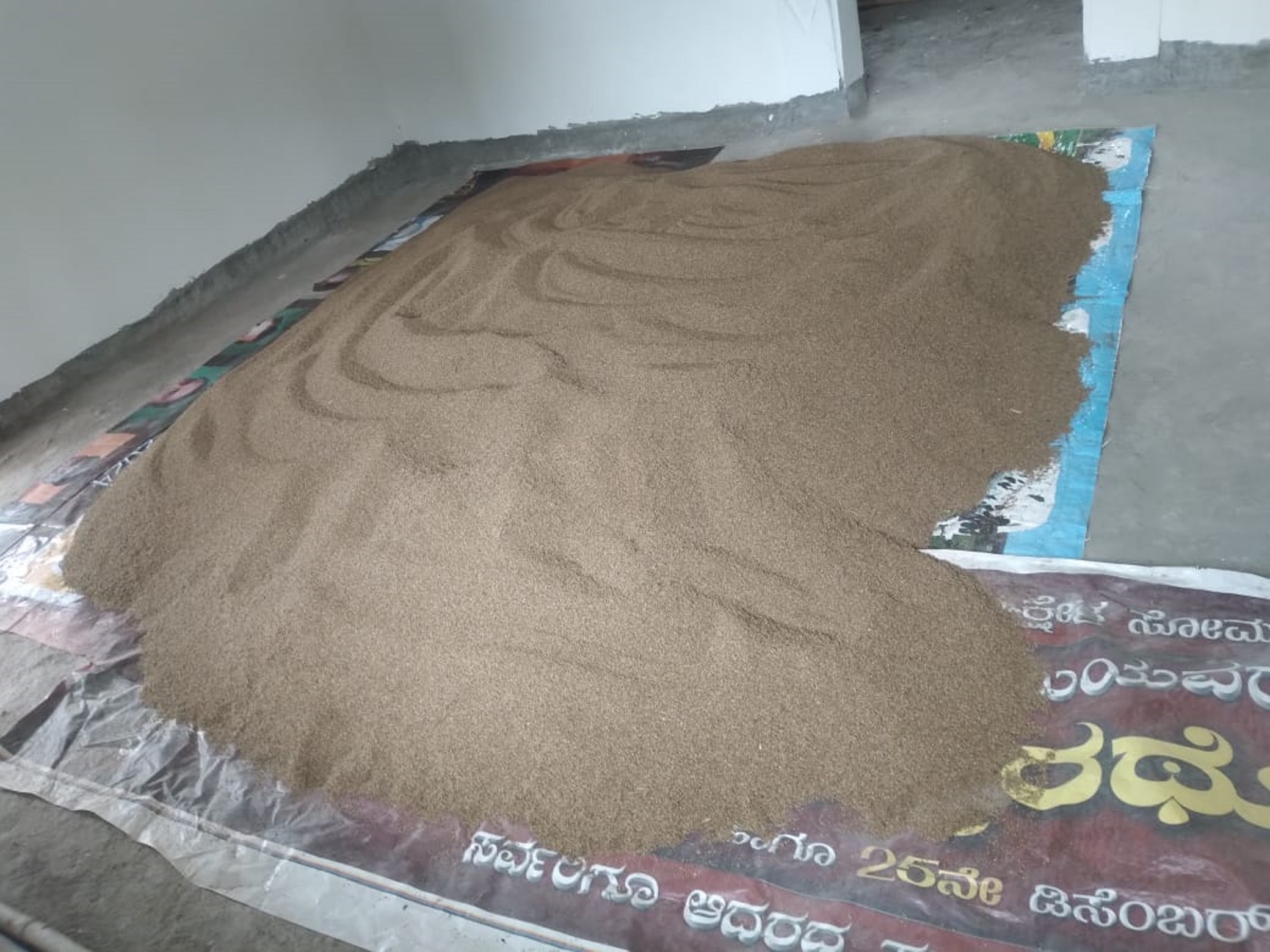 ಹೊಸದುರ್ಗದ ಶ್ರೀರಾಂಪುರ ಹೋಬಳಿಯ ಸೋಮಸಂದ್ರ ಗ್ರಾಮದಲ್ಲಿ ರೈತರೊಬ್ಬರು ಮನೆ ಒಳಗೆ ಸಾವೆ ಒಣಗಿಸುತ್ತಿರುವುದು