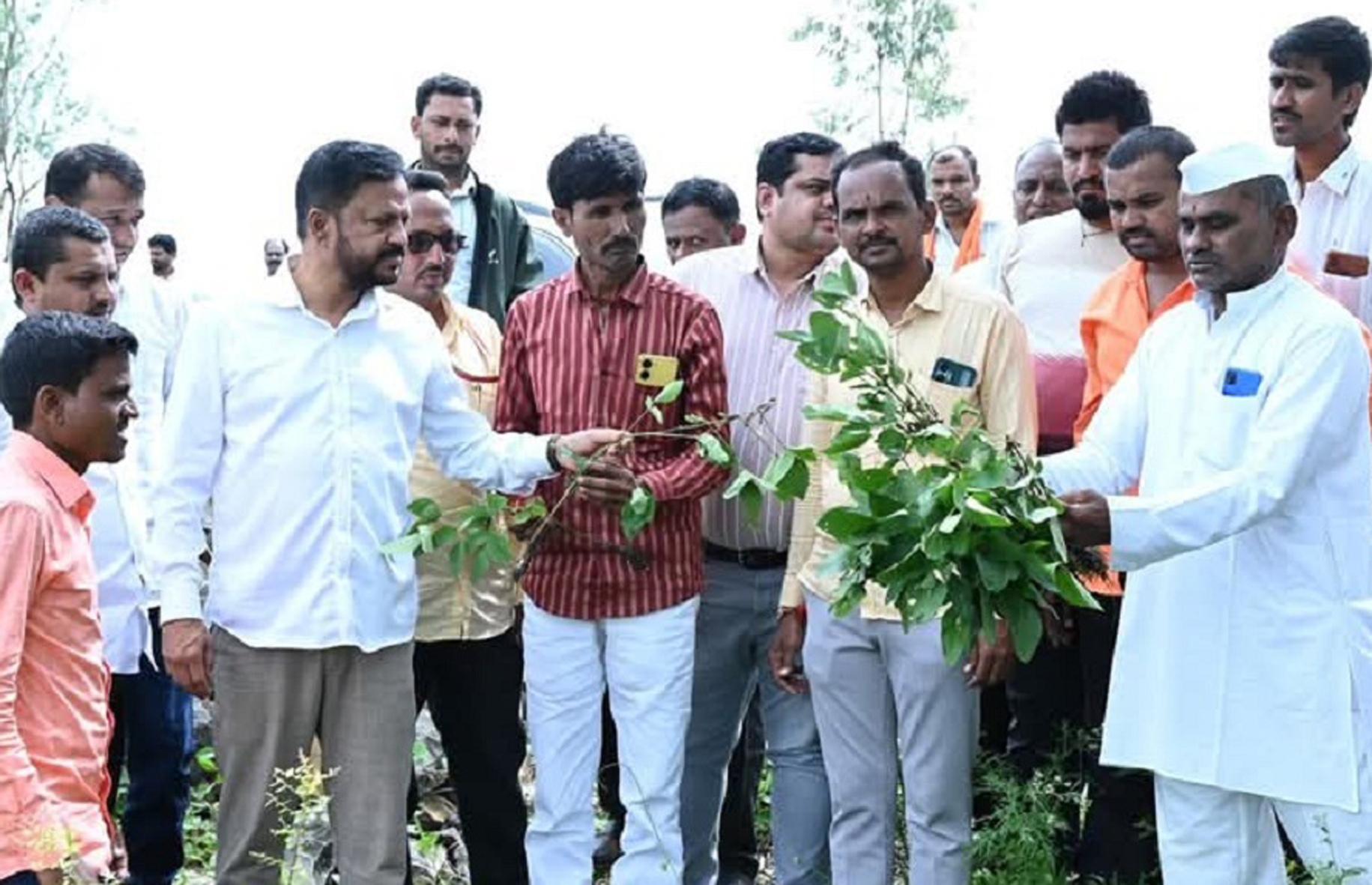 ಬಸವಕಲ್ಯಾಣ ತಾಲ್ಲೂಕಿನ ಉಜಳಂಬ ಹತ್ತಿರದ ಜಮೀನಿನಲ್ಲಿ ಮಂಗಳವಾರ ಹಾನಿ ಸಮೀಕ್ಷೆ ನಡೆಯಿತು. ವಿಧಾನ ಪರಿಷತ್ ಮಾಜಿ ಸದಸ್ಯ ವಿಜಯಸಿಂಗ್ ಕೃಷಿ ಅಧಿಕಾರಿ ಗೌತಮ್ ಇಒ ರಮೇಶ ಸುಲ್ಫಿ ಇದ್ದರು