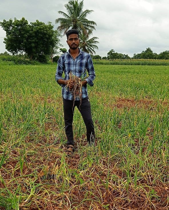 ಹರಪನಹಳ್ಳಿ | ಈರುಳ್ಳಿ ಬೆಳೆ ಹಾನಿ ಸಮೀಕ್ಷೆಗೆ ರೈತರ ಒತ್ತಾಯ