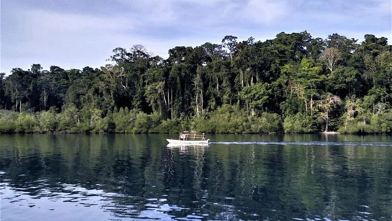ಅಂಡಮಾನ್‌ನಲ್ಲಿ ಜನಗಣತಿ: ಸೆಂಟಿನಲೀಸ್ ಸಮುದಾಯದ ಗಣತಿಗೆ ಉಷ್ಣ ತಂತ್ರಜ್ಞಾನ ಬಳಕೆ