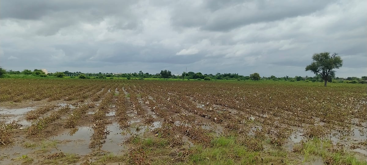 ಜೇವರ್ಗಿ | ರೈತರ ಬದುಕು ದುಸ್ತರಗೊಳಿಸಿದ ಮಳೆ- ಪ್ರವಾಹ