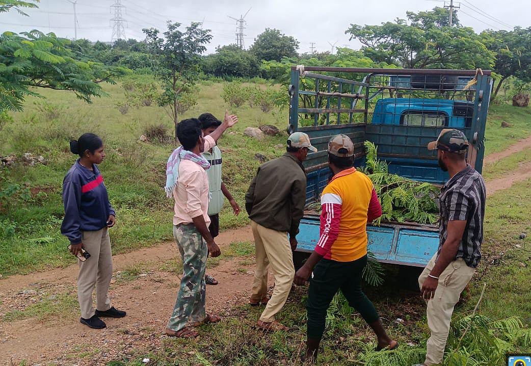 ವಿಜಯನಗರ: ವಾಹನ‌ ಡಿಕ್ಕಿ, ಕರಡಿ ಸಾವು