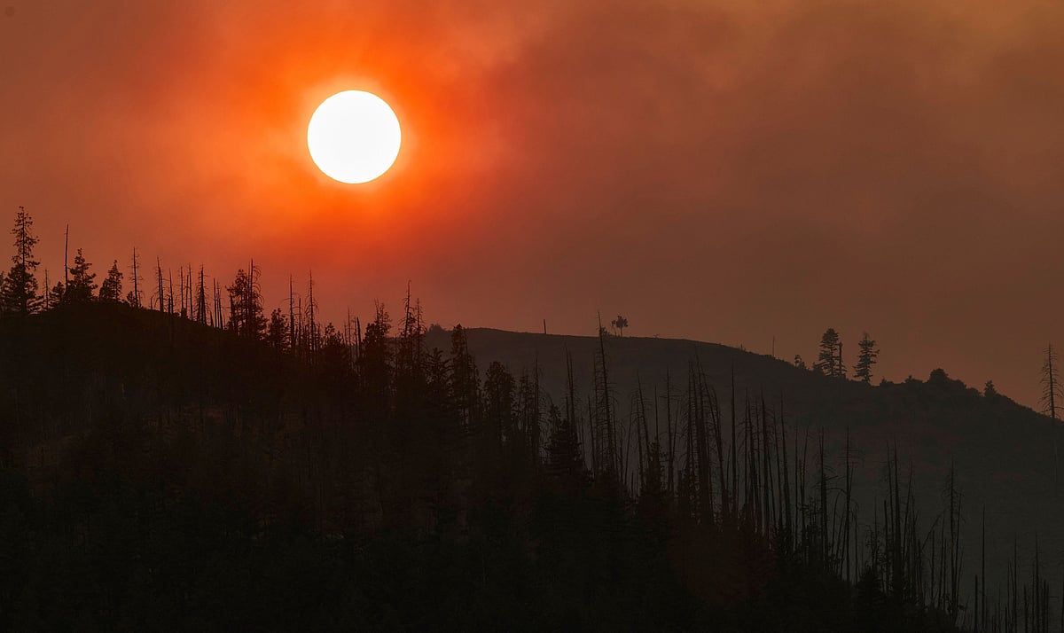 ಸಂಜೆ ವೇಳೆ ಈ 5 ತಪ್ಪುಗಳನ್ನು ಮಾಡಬಾರದು ಎನ್ನುತ್ತೆ ಜ್ಯೋತಿಷ