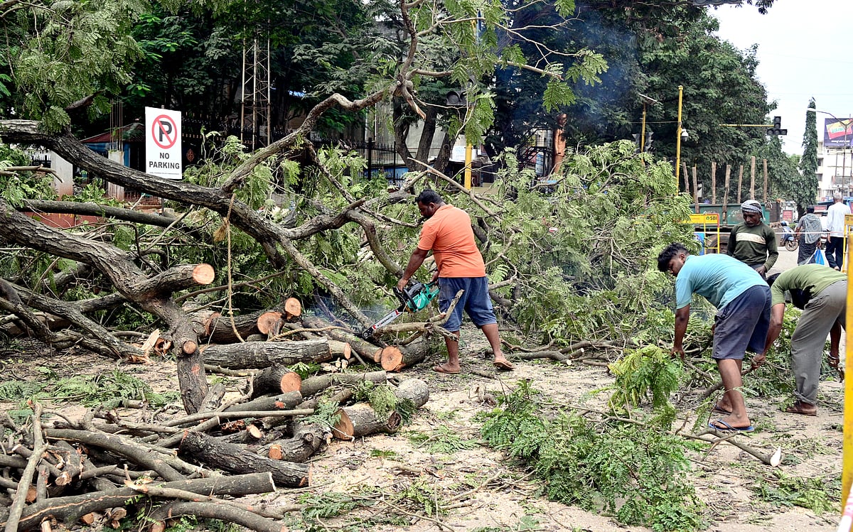 ಹುಬ್ಬಳ್ಳಿ | ಮೇಲ್ಸೇತುವೆ; ಐದು ಮರಗಳು ಧರಾಶಾಹಿ