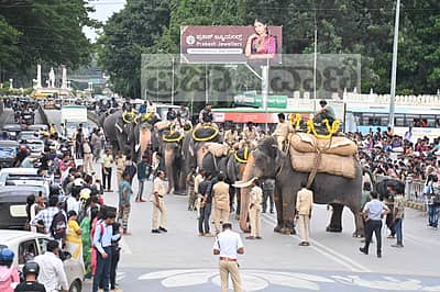  ಬುಧವಾರ ಅರಮನೆಯ ಆವರಣದಲ್ಲಿ ಆನೆಗಳು  ತಾಲೀಮು ನಡೆಸಿದವು.