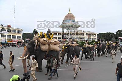 ಗಾಂಭೀರ್ಯವಾಗಿ ಹೆಜ್ಜೆ ಹಾಕಿದ ಗಜಪಡೆ