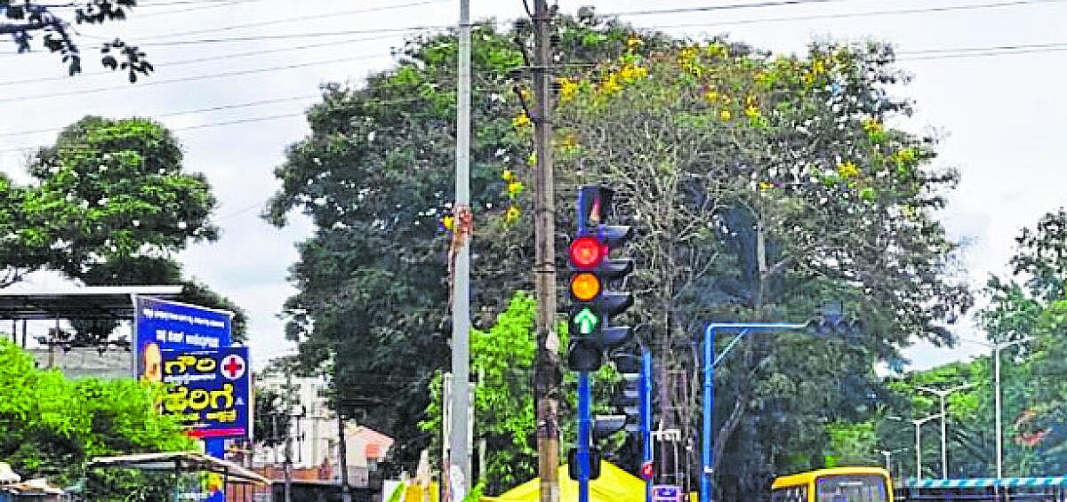 ತಿಪಟೂರು | ಟ್ರಾಫಿಕ್‌ ಸಿಗ್ನಲ್‌ ದೋಷ: ಸವಾರರಿಗೆ ಕಿರಿಕಿರಿ