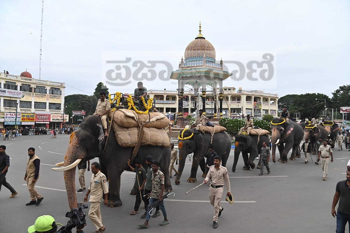 PHOTOS | ದಸರಾ ಮಹೋತ್ಸವ: 500 ಕೆ.ಜಿ.ಮರಳು ಮೂಟೆ ಹೊತ್ತು ತಾಲೀಮು ನಡೆಸಿದ ಗಜಪಡೆ