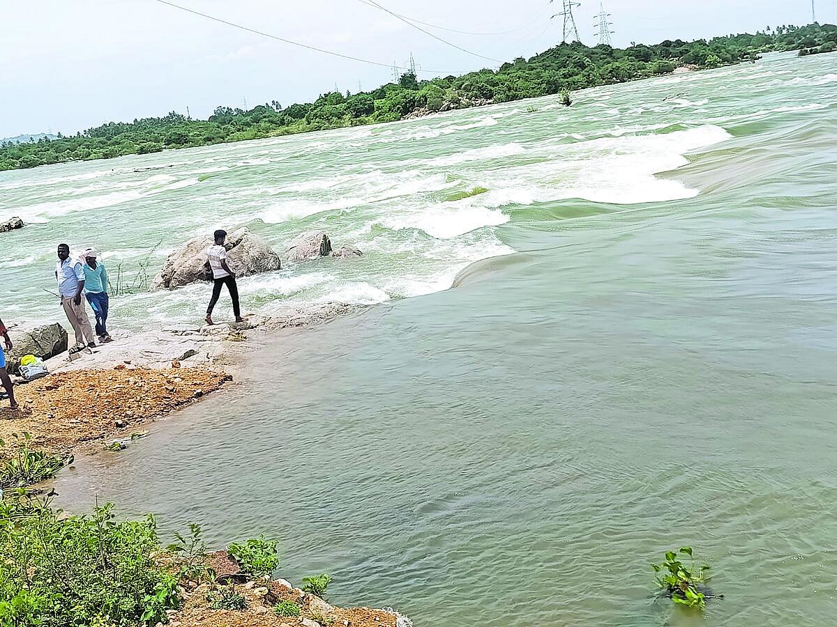 ತುಂಗಭದ್ರಾ ಜಲಾಶಯ ಕ್ರಸ್ಟ್‌ಗೇಟ್‌ಗಳ ಸಮಸ್ಯೆ: ಎರಡನೇ ಬೆಳೆಗೆ ನೀರು ಅನುಮಾನ
