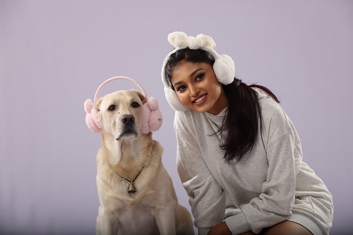 ‘ನಾನು ಮತ್ತು ಗುಂಡ 2’ ಸಿನಿಮಾ ವಿಮರ್ಶೆ: ಬದುಕುಳಿದ ನಾಯಿಯ ಕಥೆ