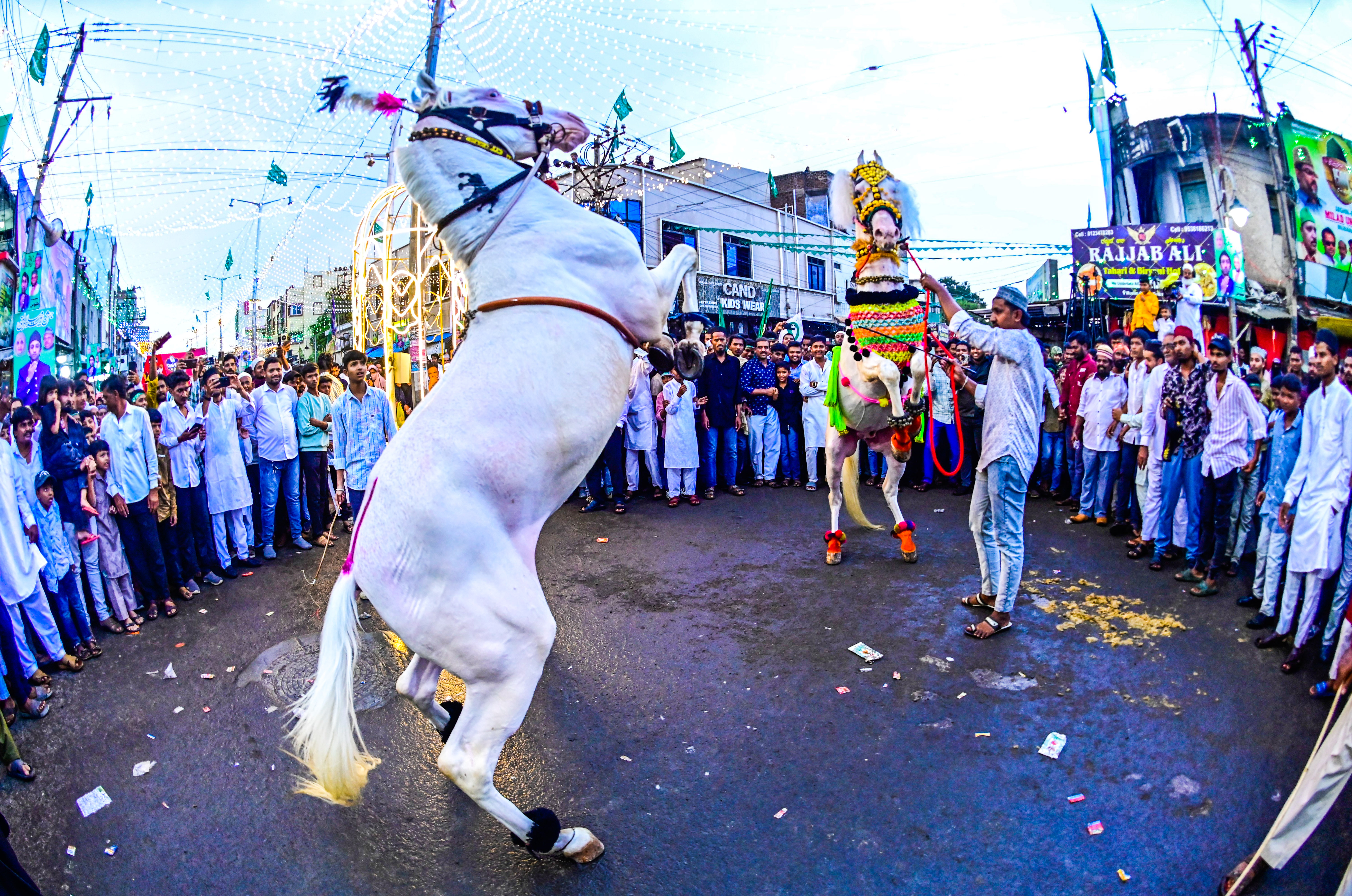 ಈದ್‌ ಮಿಲಾದ್‌ ಆಚರಣೆ ಅಂಗವಾಗಿ ಕಲಬುರಗಿ ನಗರದಲ್ಲಿ ‌ಕುದುರೆ ಕುಣಿತ ಜನರನ್ನು ರಂಜಿಸಿತು
ಪ್ರಜಾವಾಣಿ ಚಿತ್ರ: ತಾಜುದ್ದೀನ್‌ ಆಜಾದ್‌ 