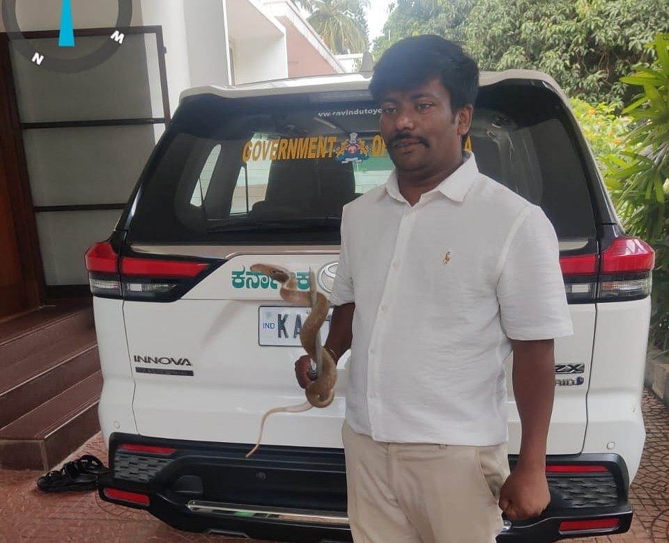 ಡಿಸಿಎಂ ಡಿ.ಕೆ. ಶಿವಕುಮಾರ್ ಅಧಿಕೃತ ನಿವಾಸದಲ್ಲಿ ನಾಗರಹಾವಿನ ಮರಿ!